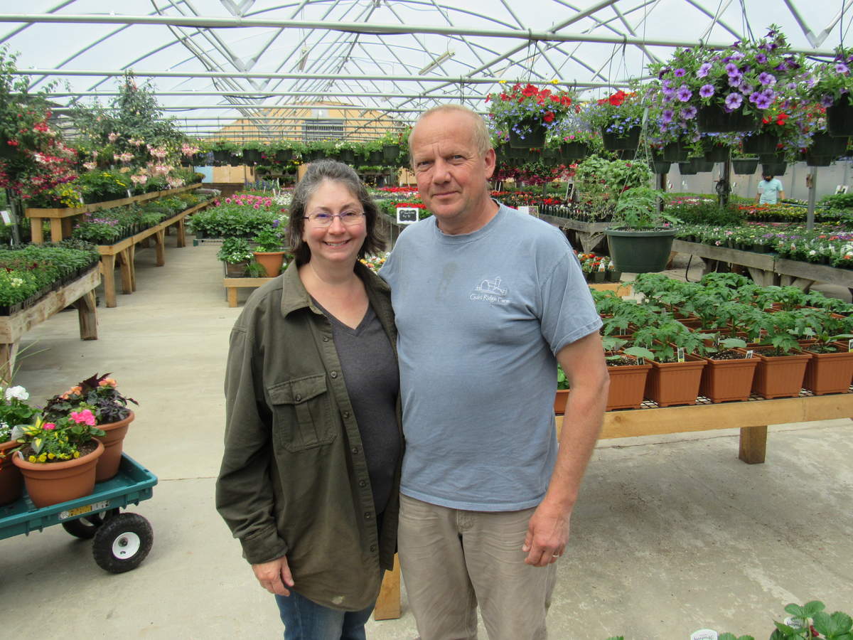 Wendy & Bruce Reinemann, Owners Guini Ridge Farm