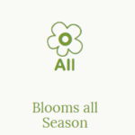 Blooms All Season