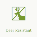 Deer Resistant