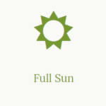Full Sun