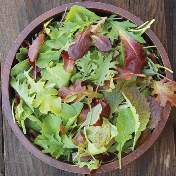 Mesclun Mix Lettuce & Mustard Greens