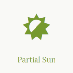 Partial Sun