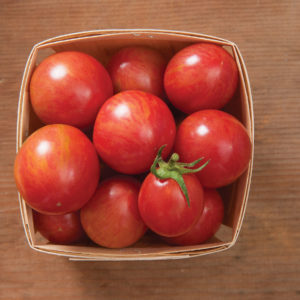 Solanum lycopersicum Artisan Pink Bumblebee Cherry Tomato