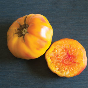 Solanum lycopersicum Striped German Heirloom Tomato