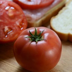 Solanum lycopersicum Tidy Rose Beefsteak Patio Tomato