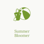 Summer Bloomer