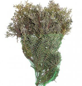 Juniper Pre-Pack