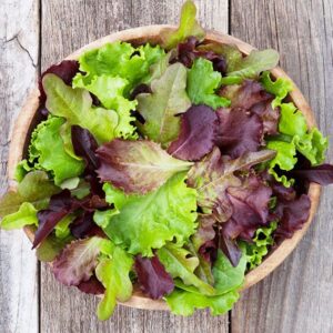 DMR Salad Blend Lettuce Seeds