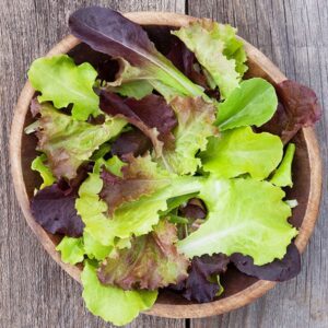 Gourmet Lettuce Blend