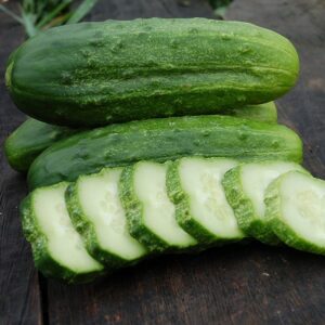 Cucumis sativus National Pickling Cucumber Seeds