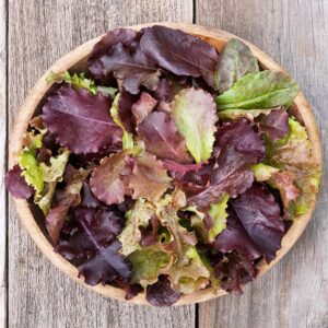 Red Planet Lettuce Blend Seeds