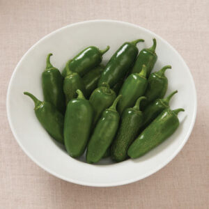 Pepper, Jalapeno Capsicum annuum 'Early Hot Jalapeno'