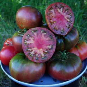 Tomato, Heirloom Solanum lycopersicum 'Black Krim'