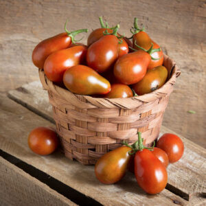 Tomato, Grape Solanum lycopersicum 'Chocolate Pear'