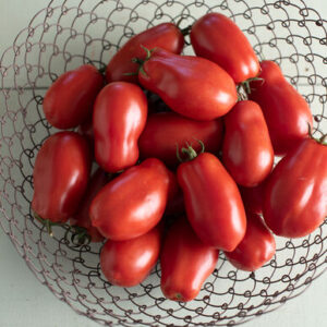 Tomato, Roma Solanum lycopersicum 'San Marzano'