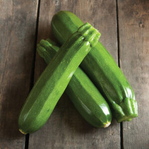 Squash, Zucchini Cucurbita pepo 'Spineless Perfection Green'
