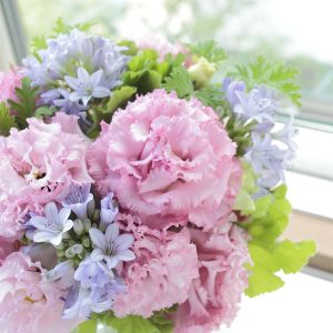 Lisianthus Voyage 2 Series