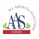 AAS Winner