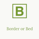 Border or Bed