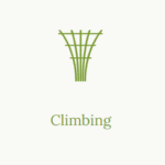 Climbing