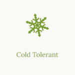 Cold Tolerant