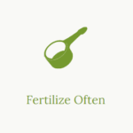 Fertilize Often