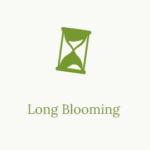 Long Blooming