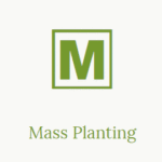 Mass Planting