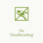 No Deadheading