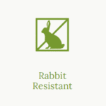 Rabbit Resistant
