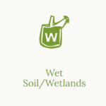 Wet Soil or Wetlands